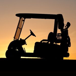 Annual Cart Seat (Single Rider) - $779 plus applicable sales tax