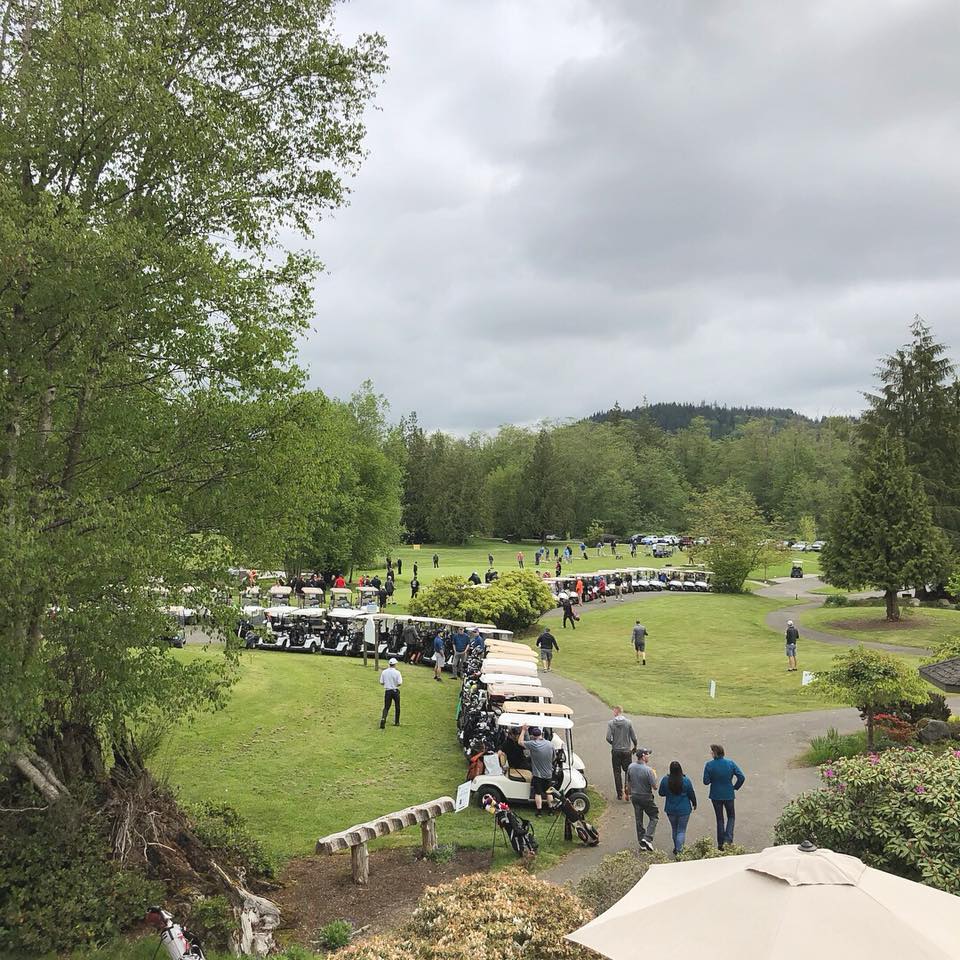 Row of golf carts